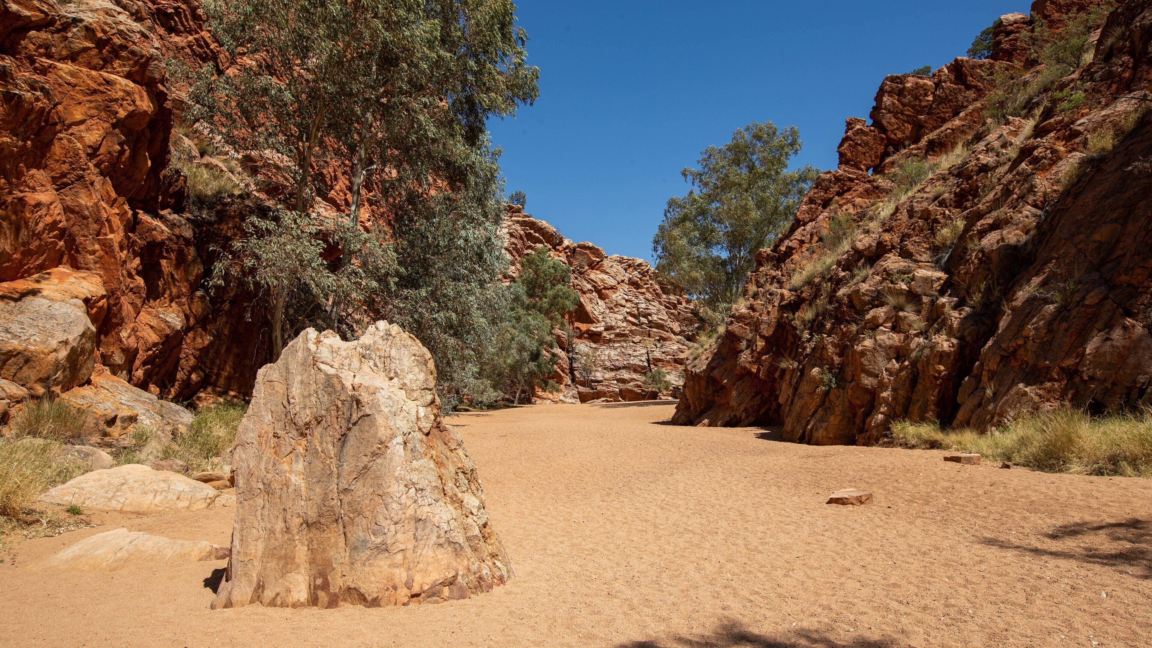 Yeperenye-Emily and Jessie Gaps Nature Park featuring desert views and a gorge or canyon