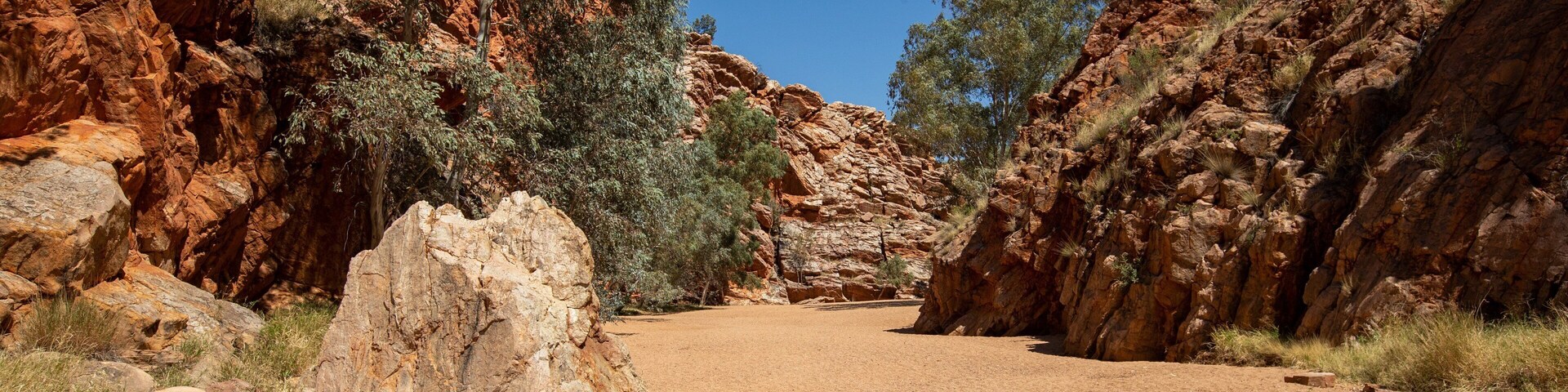 Yeperenye-Emily and Jessie Gaps Nature Park featuring desert views and a gorge or canyon