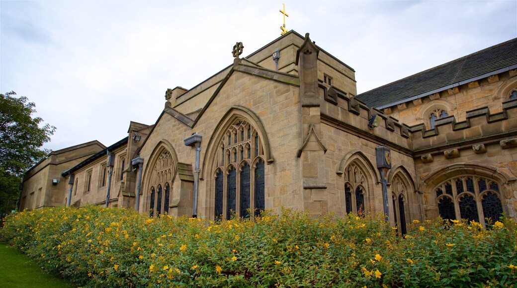 Bradford Cathedral which includes wildflowers and heritage elements