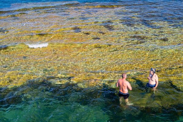 Port Noarlunga Reef Sanctuary Zone which includes swimming and general coastal views as well as a couple