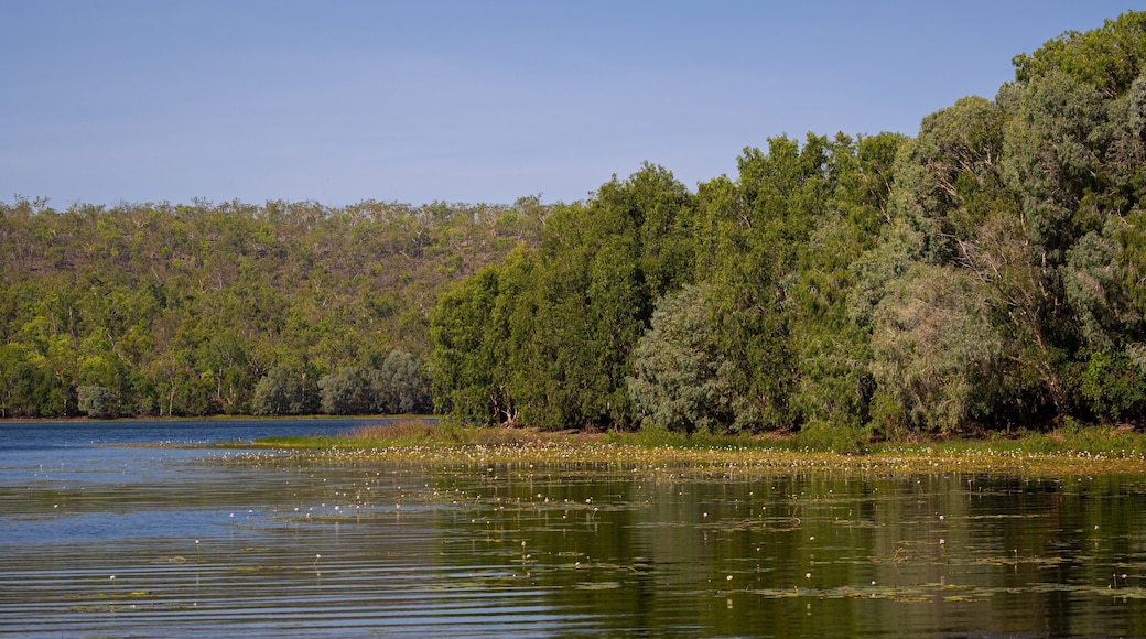 Manton Dam Recreation Area showing wetlands