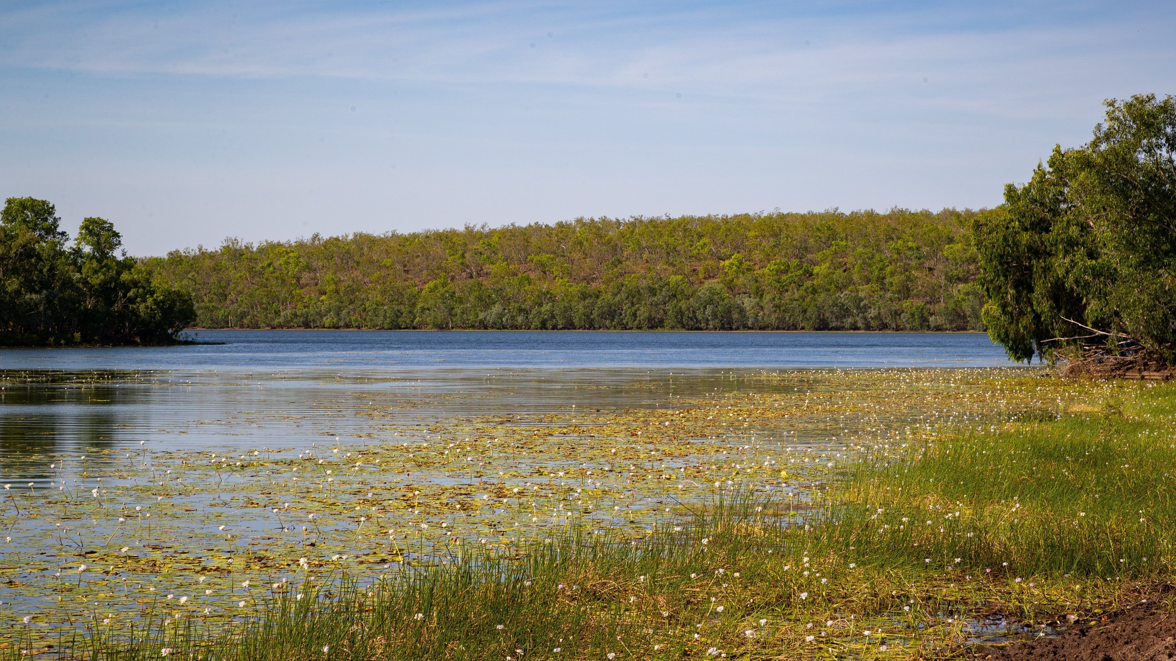 Manton Dam Recreation Area featuring a pond, wildflowers and a lake or waterhole