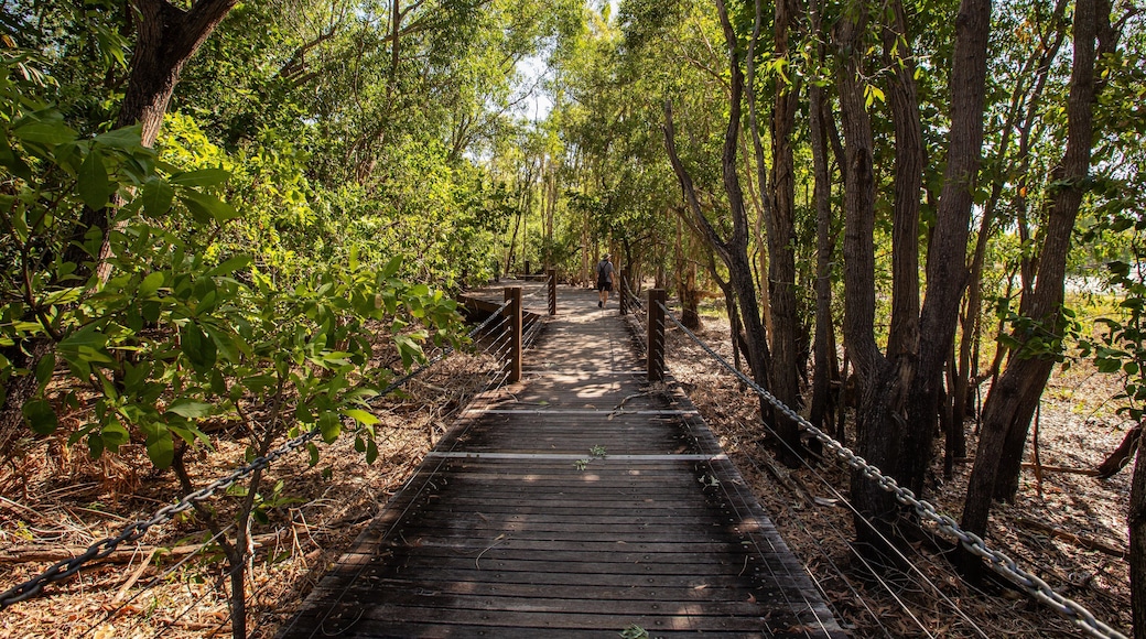 Manton Dam Recreation Area featuring a garden