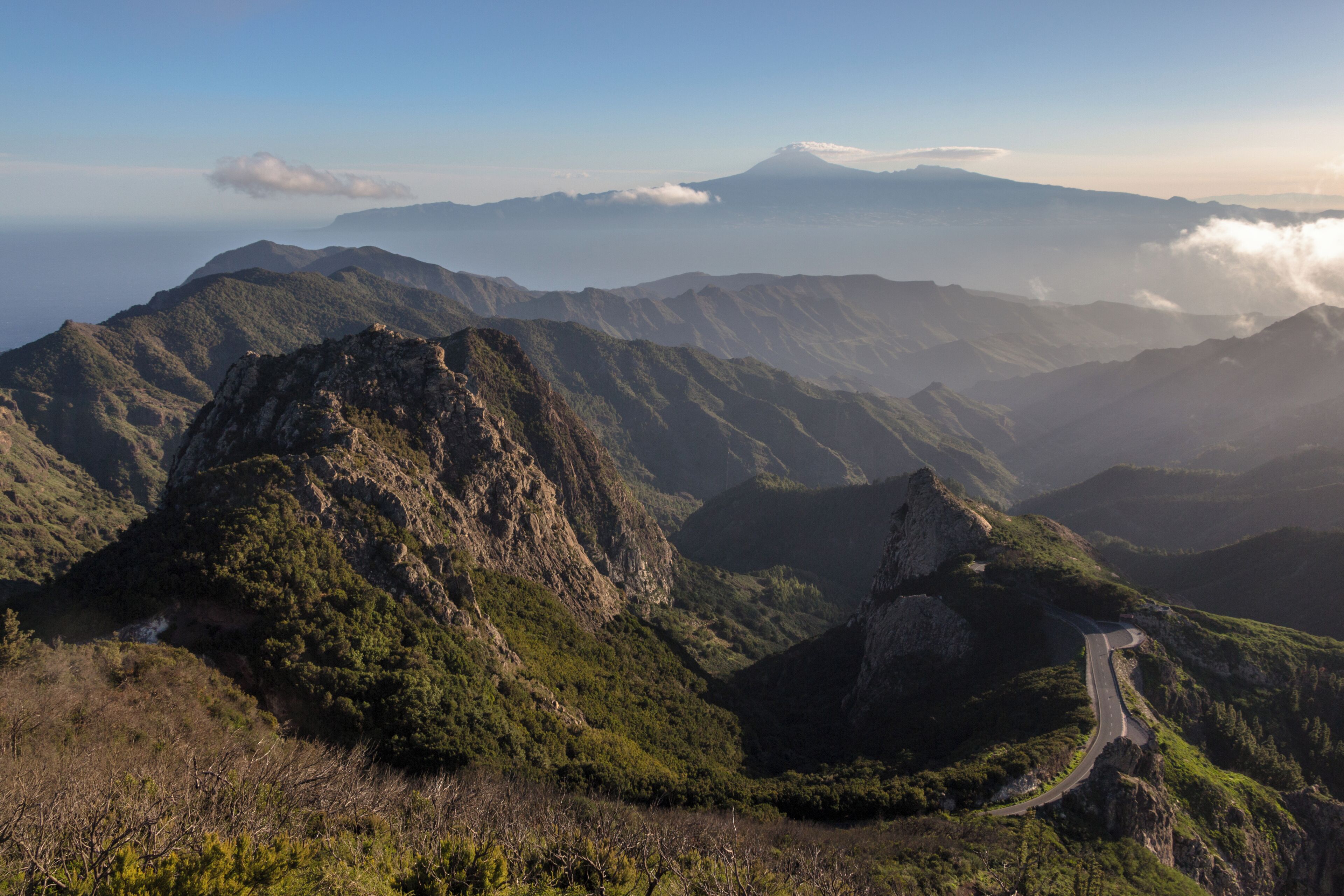 Garajonay National Park, La Gomera, Spain