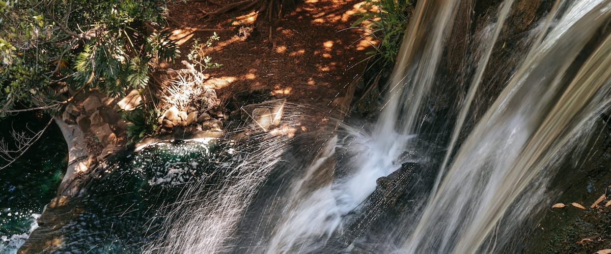 Picnic Point Park showing a river or creek and a cascade