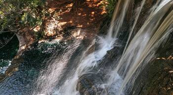 Picnic Point Park showing a river or creek and a cascade