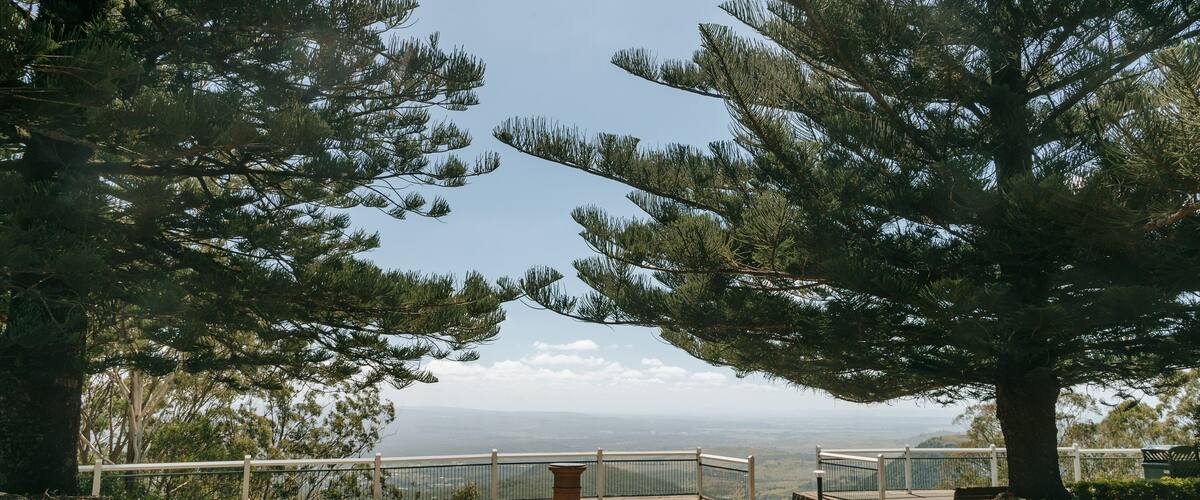 Picnic Point Park showing views