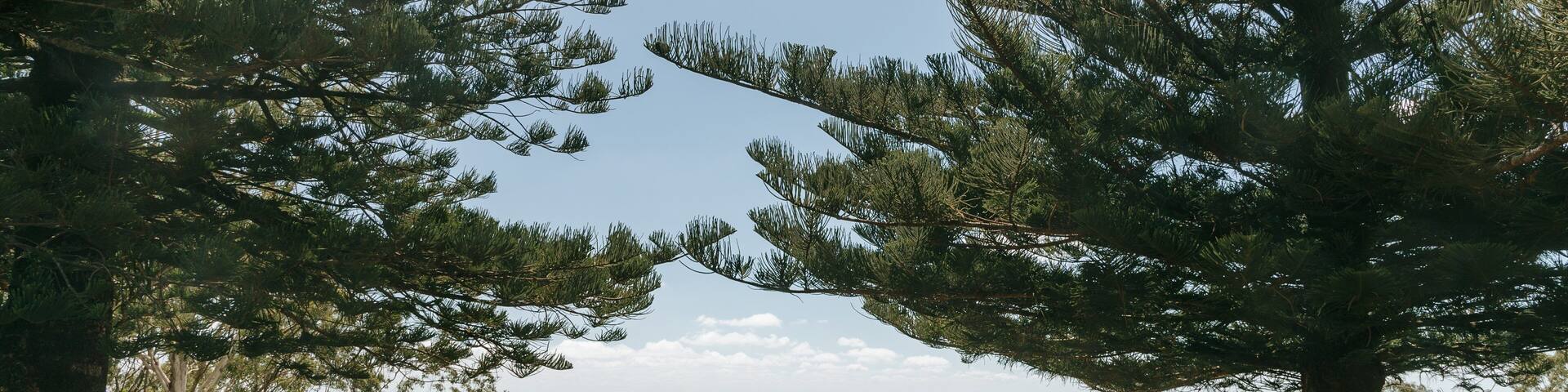 Picnic Point Park showing views
