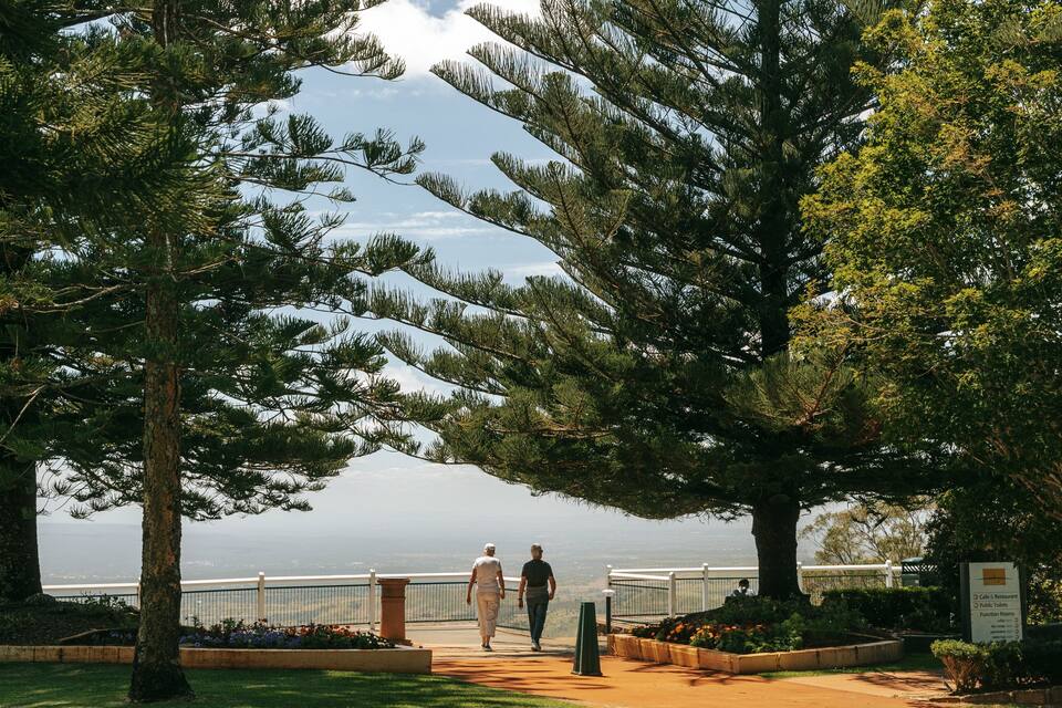 A pathway lined with trees leading to a scenic overlook.