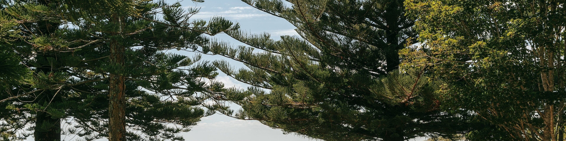 Picnic Point Park featuring a park and views as well as a couple