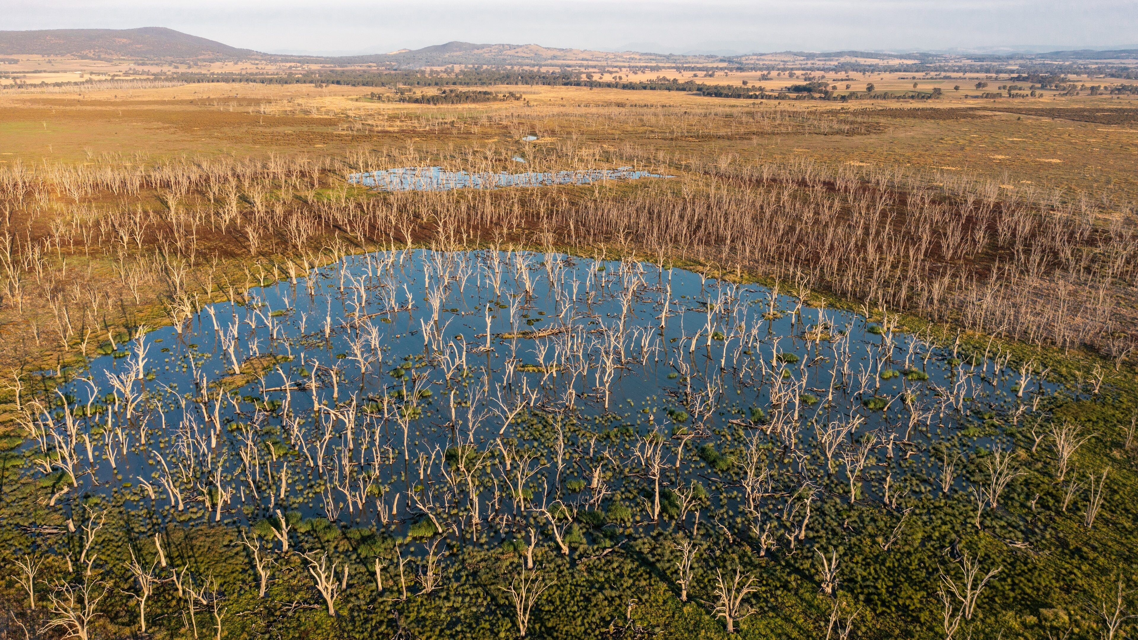 Benalla Rural City featuring landscape views and tranquil scenes
