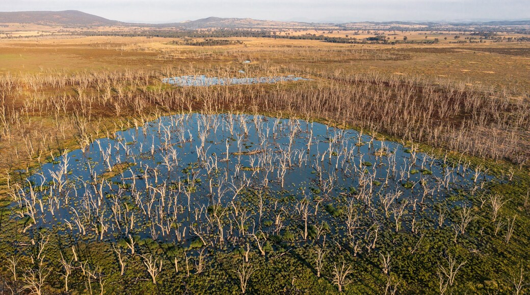 Benalla Rural City featuring landscape views and tranquil scenes