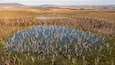 Une étendue d’eau importante, entourée de prairies arides et de quelques arbres clairsemés.