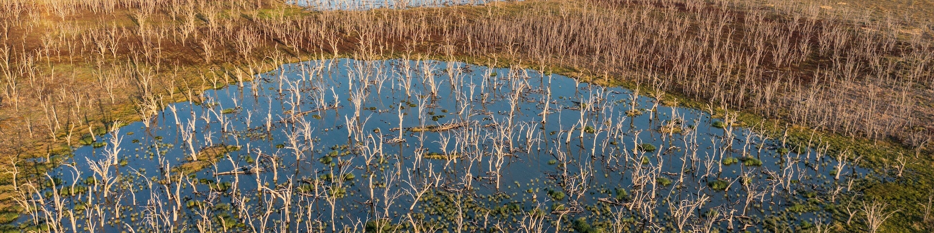 Un extenso cuerpo de agua rodeado de pastizales secos y árboles dispersos.