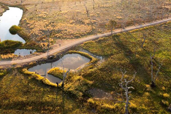 Winton Wetlands which includes tranquil scenes