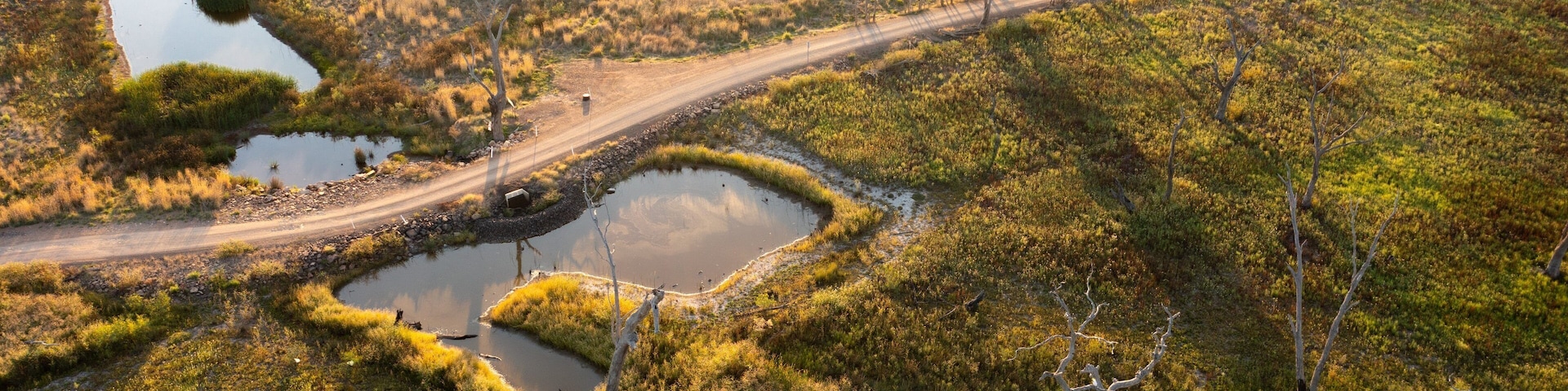Winton Wetlands which includes tranquil scenes