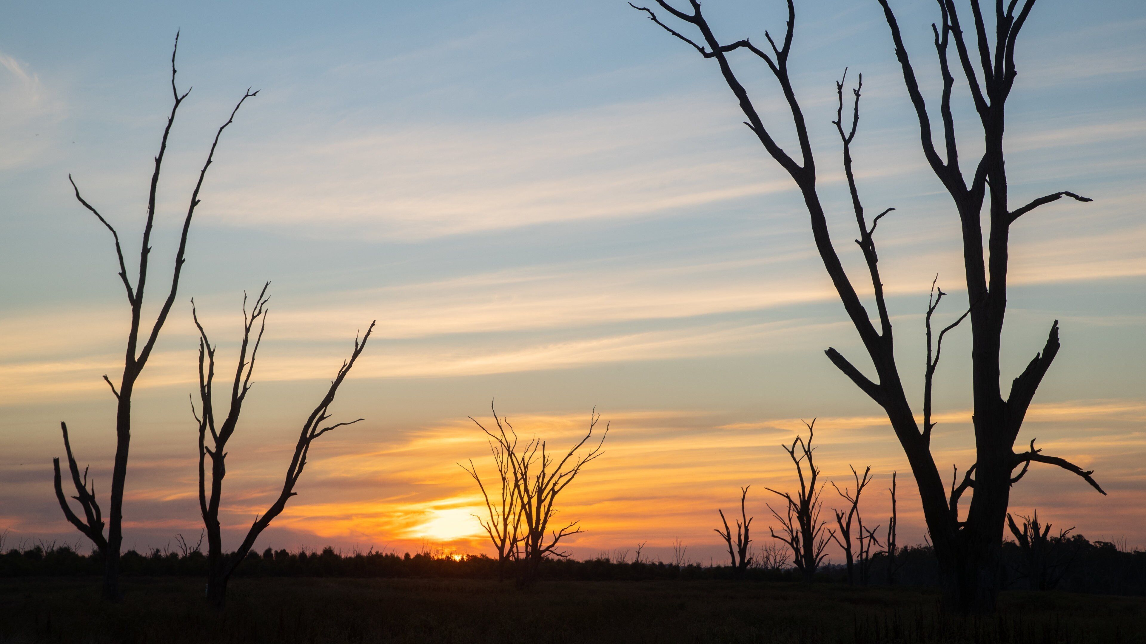 Winton Wetlands featuring tranquil scenes and a sunset