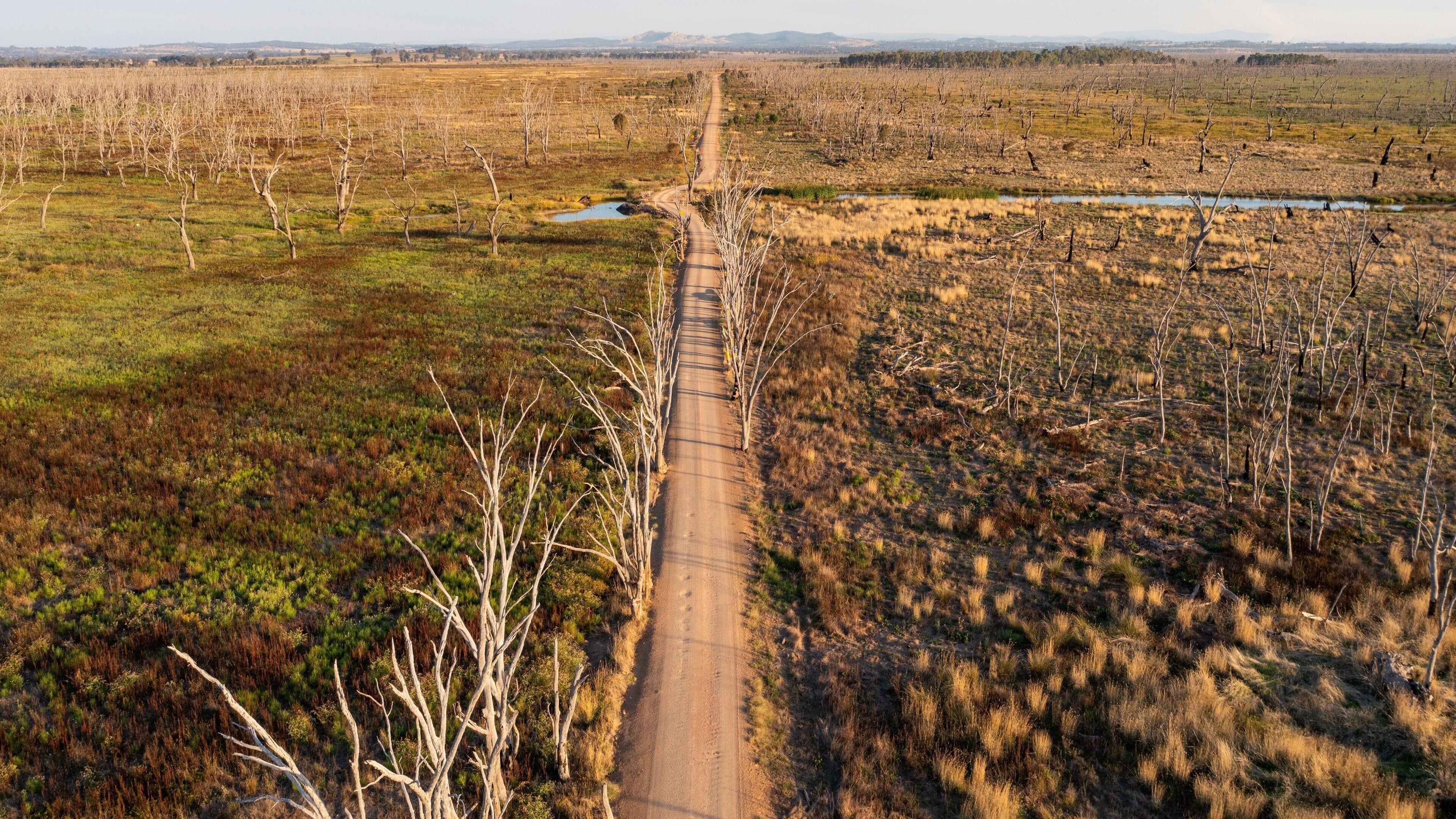 Benalla Rural City showing tranquil scenes and landscape views