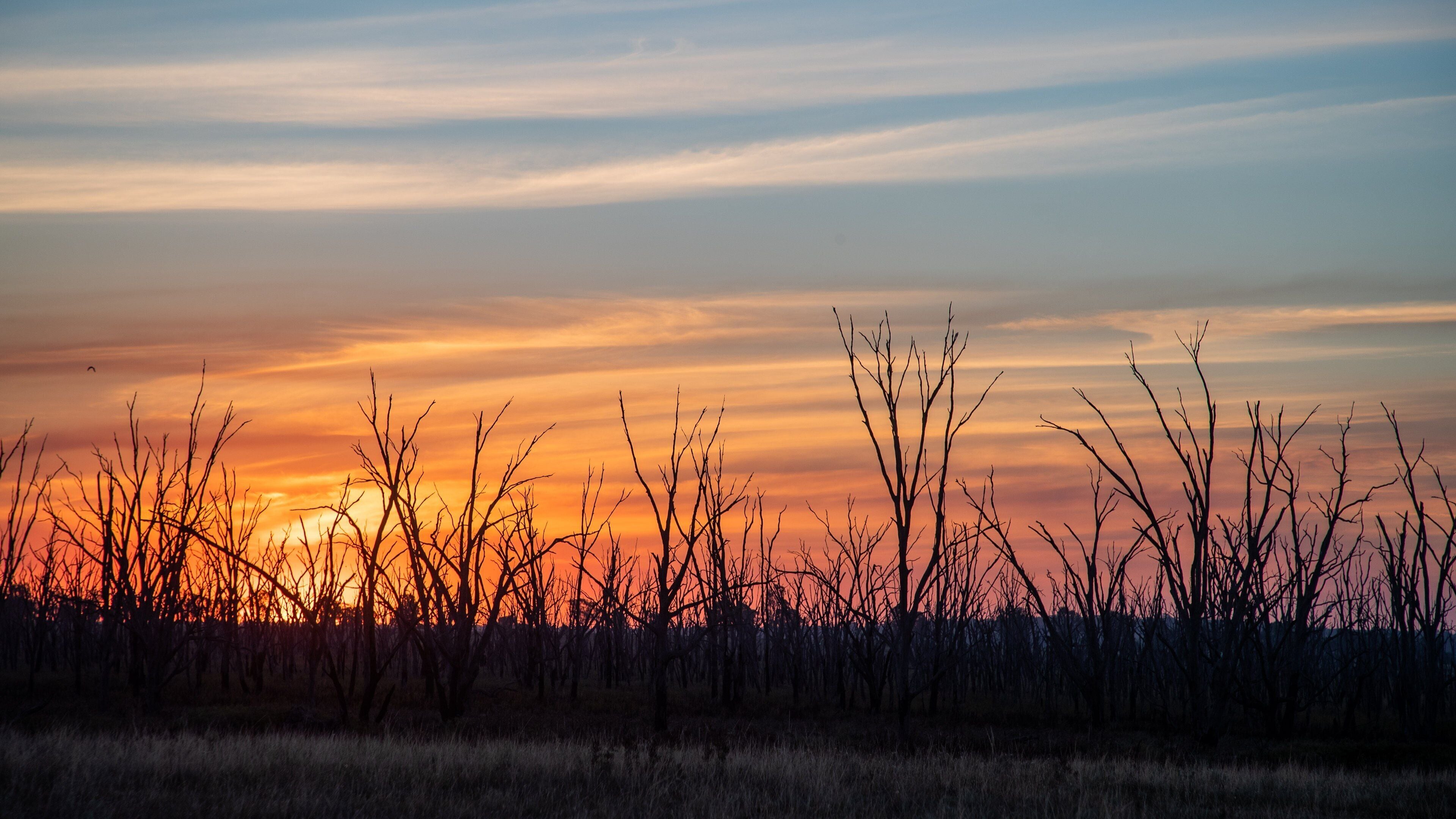 Benalla Rural City which includes a sunset