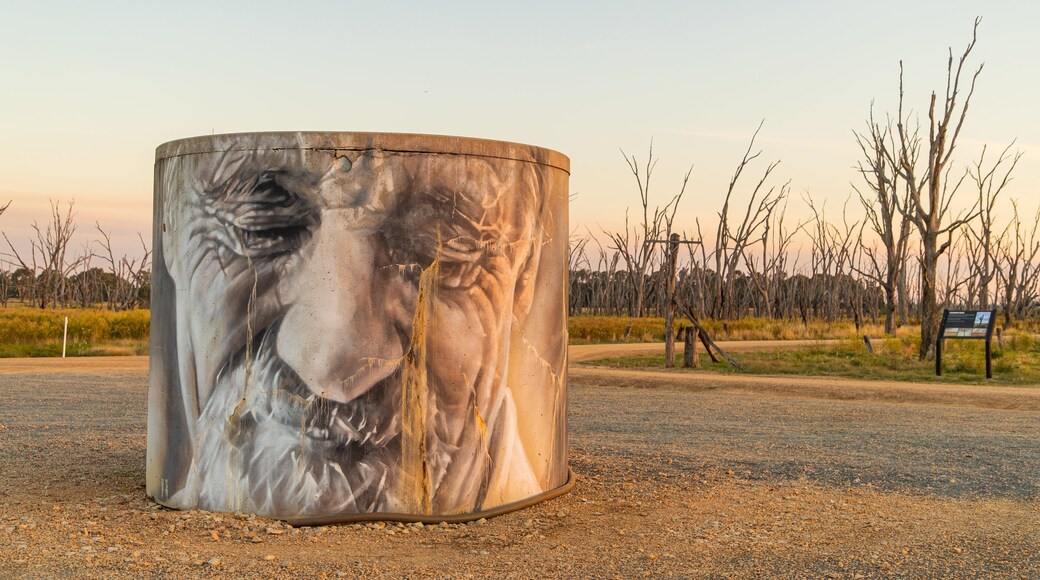 Benalla Rural City featuring tranquil scenes, outdoor art and a sunset