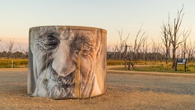 Benalla Rural City featuring tranquil scenes, outdoor art and a sunset