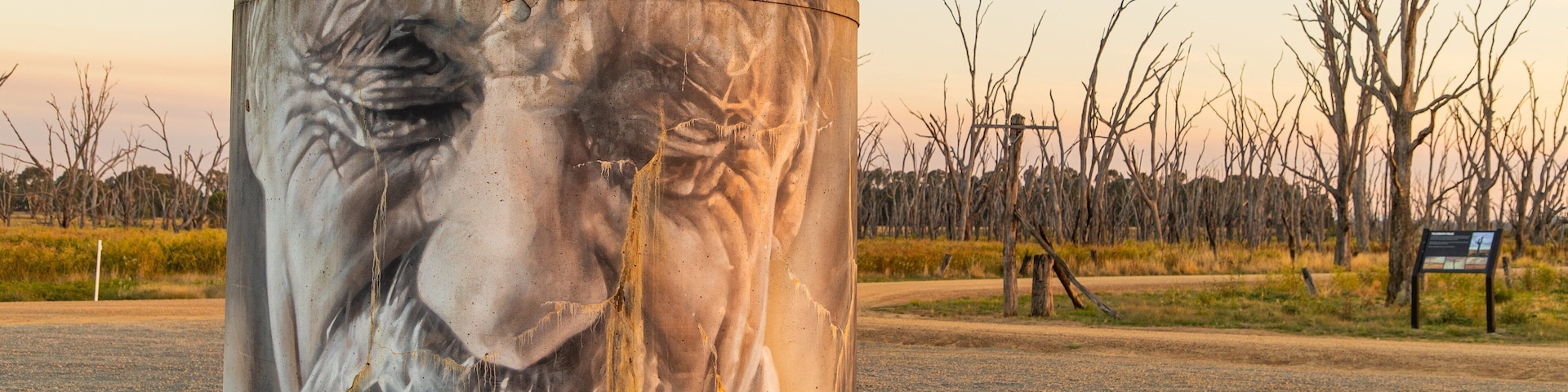 Benalla Rural City featuring tranquil scenes, outdoor art and a sunset