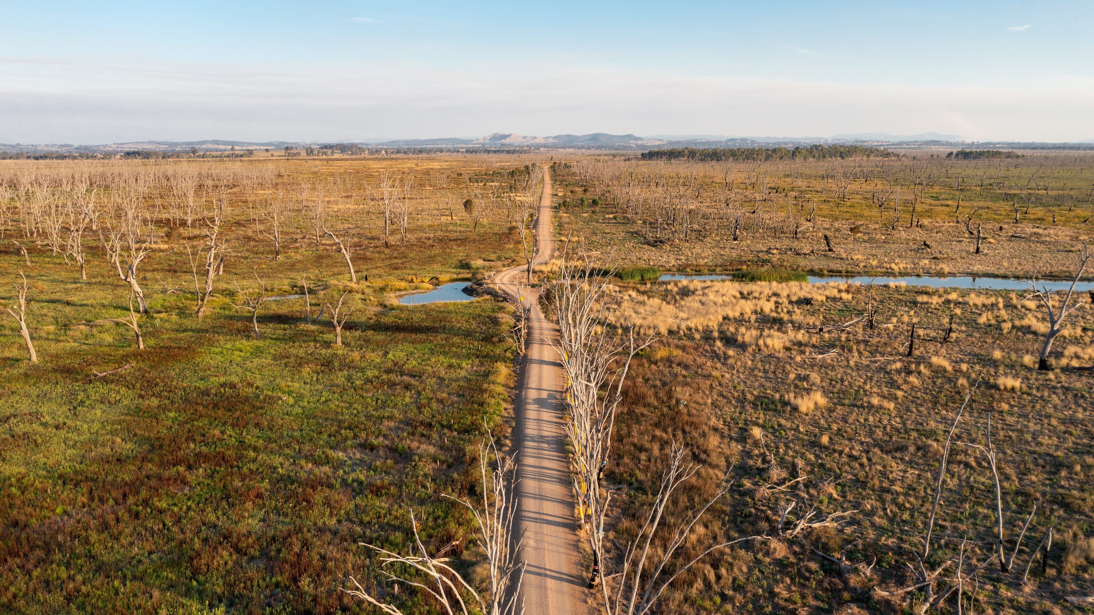 Winton Wetlands which includes tranquil scenes and landscape views
