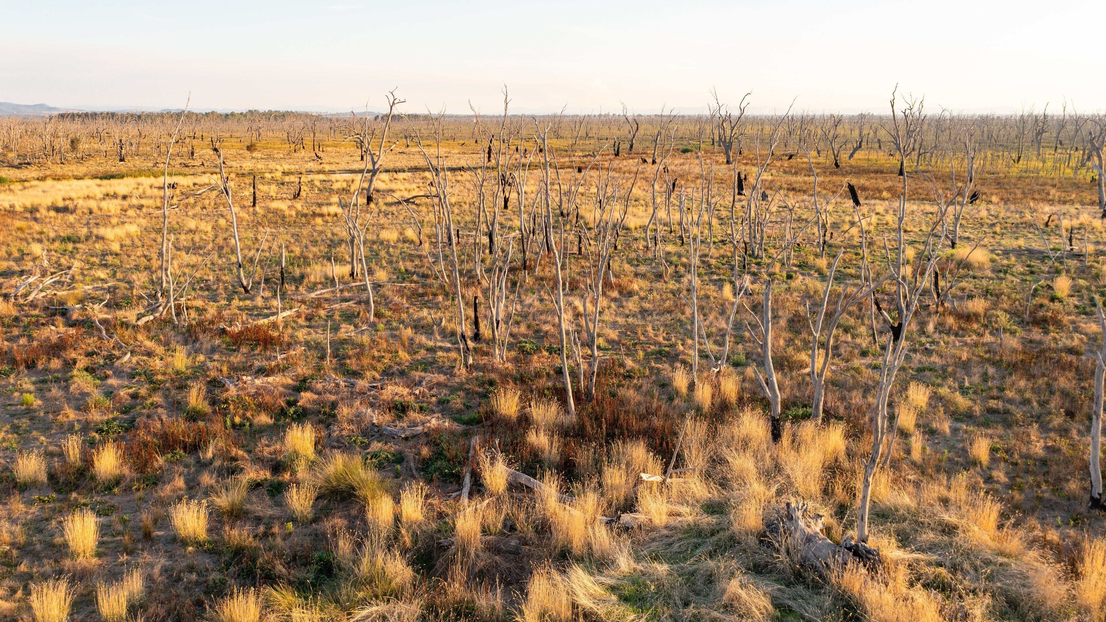 Winton Wetlands which includes tranquil scenes and landscape views