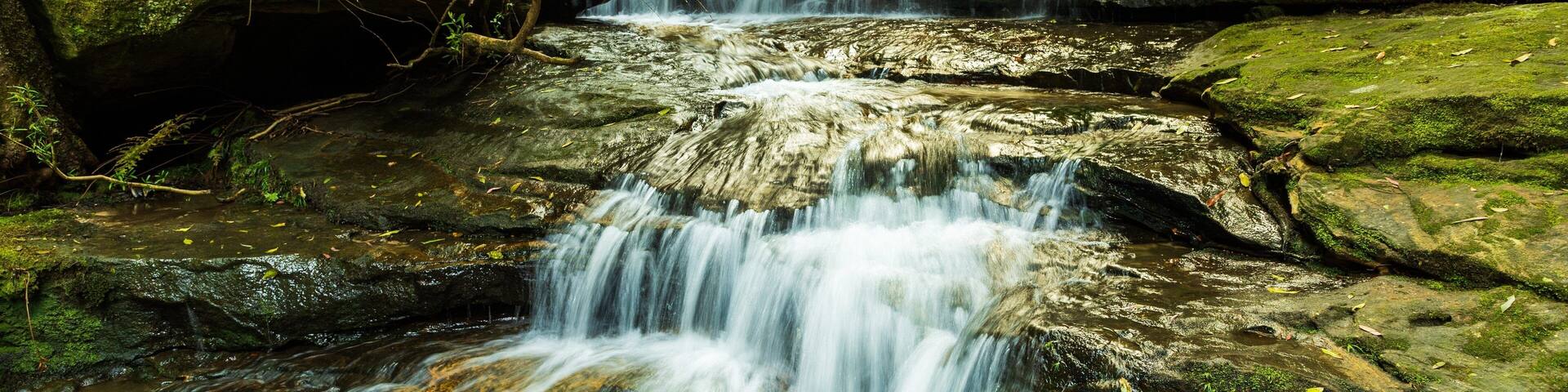 Una cascada escalonada que se precipita sobre rocas cubiertas de musgo en un área boscosa.