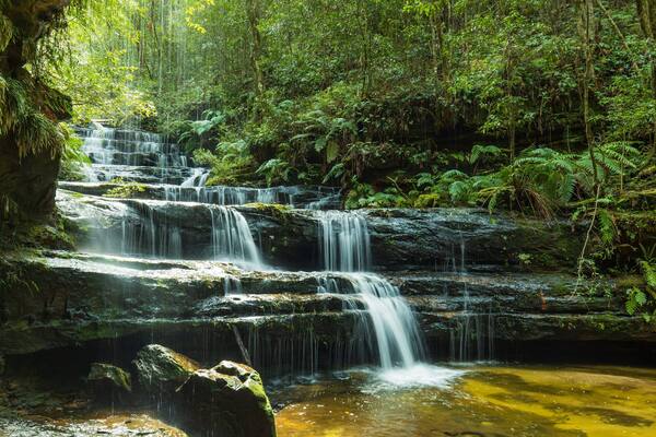 Une cascade à plusieurs niveaux, nichée au cœur d’une forêt luxuriante.