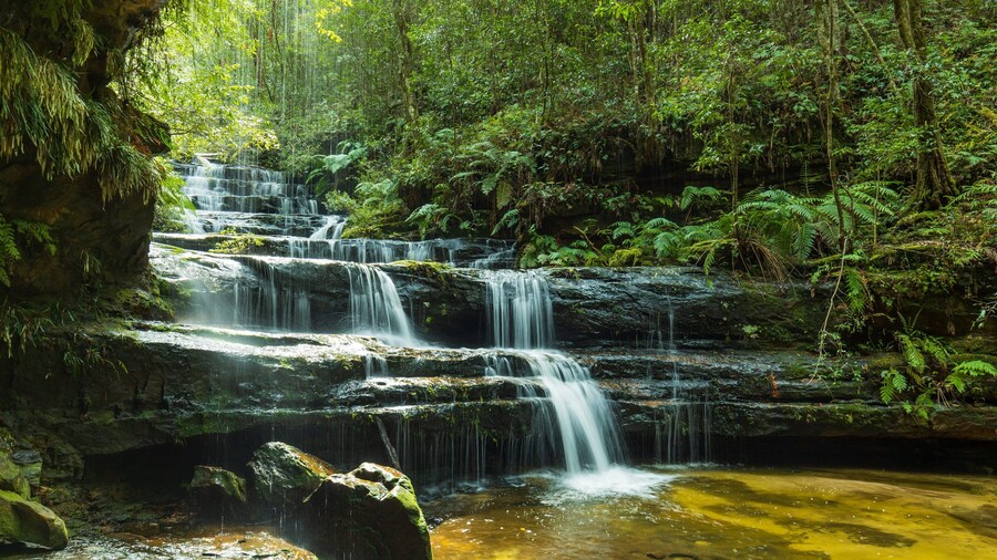 Terrace Falls Reserve which includes forest scenes and a river or creek
