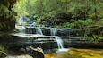 A multi-tiered waterfall in a lush forest.