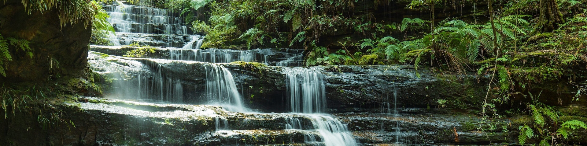 Terrace Falls Reserve which includes forest scenes and a river or creek