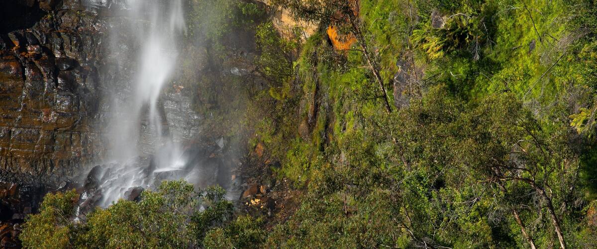 A waterfall cascading down a rocky cliff surrounded by lush greenery.