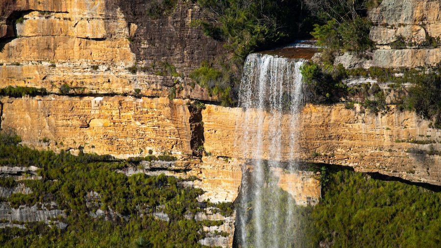 Bridal Veil Falls Nature Reserve featuring a gorge or canyon and a cascade