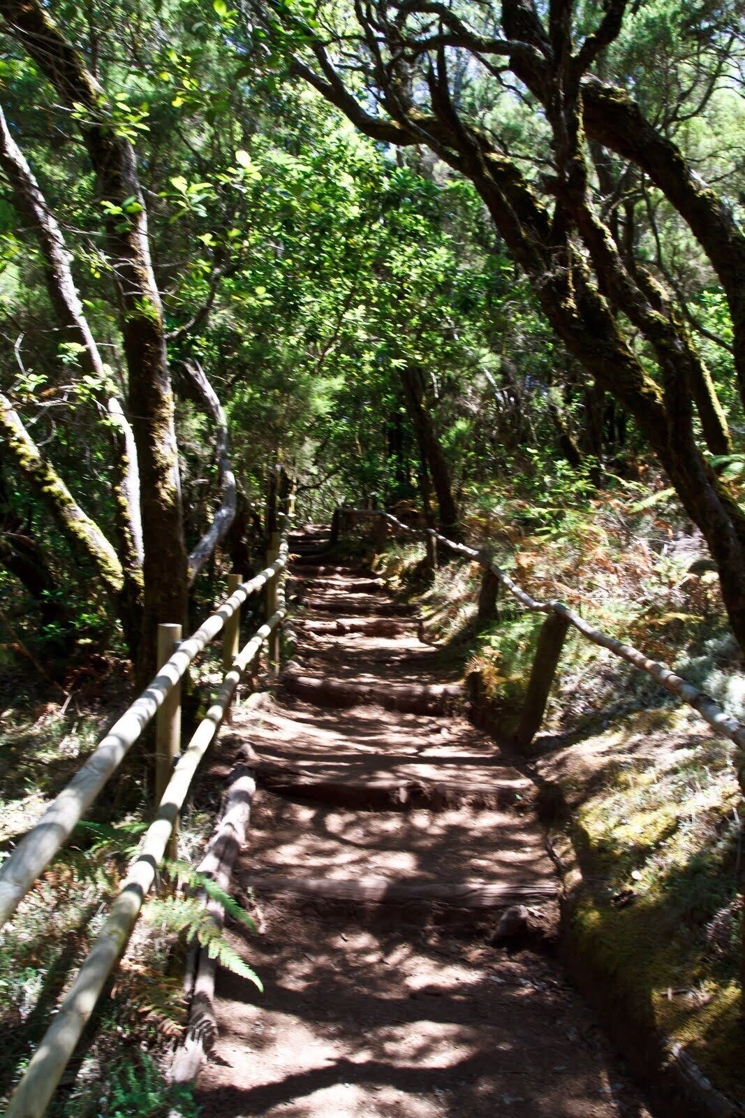 Vallehermoso, Santa Cruz de Tenerife, Spain