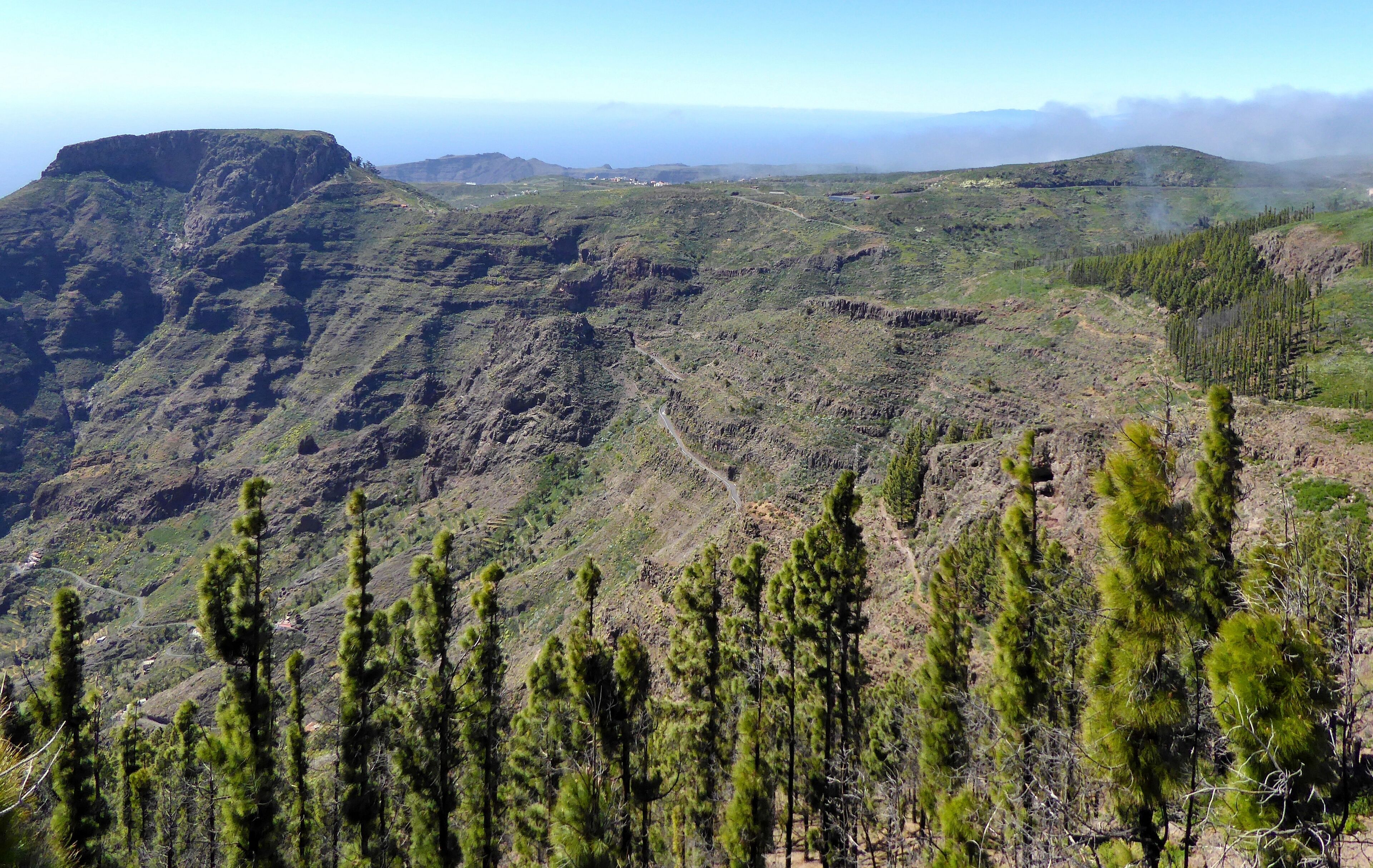 Biosphere Reserve La Gomera, Pinus canariensis, recovering from wildfire (2012), view to La Fortaleza (core area)