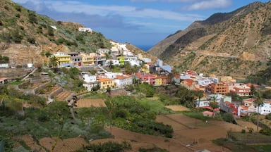 فالهيرموسو
