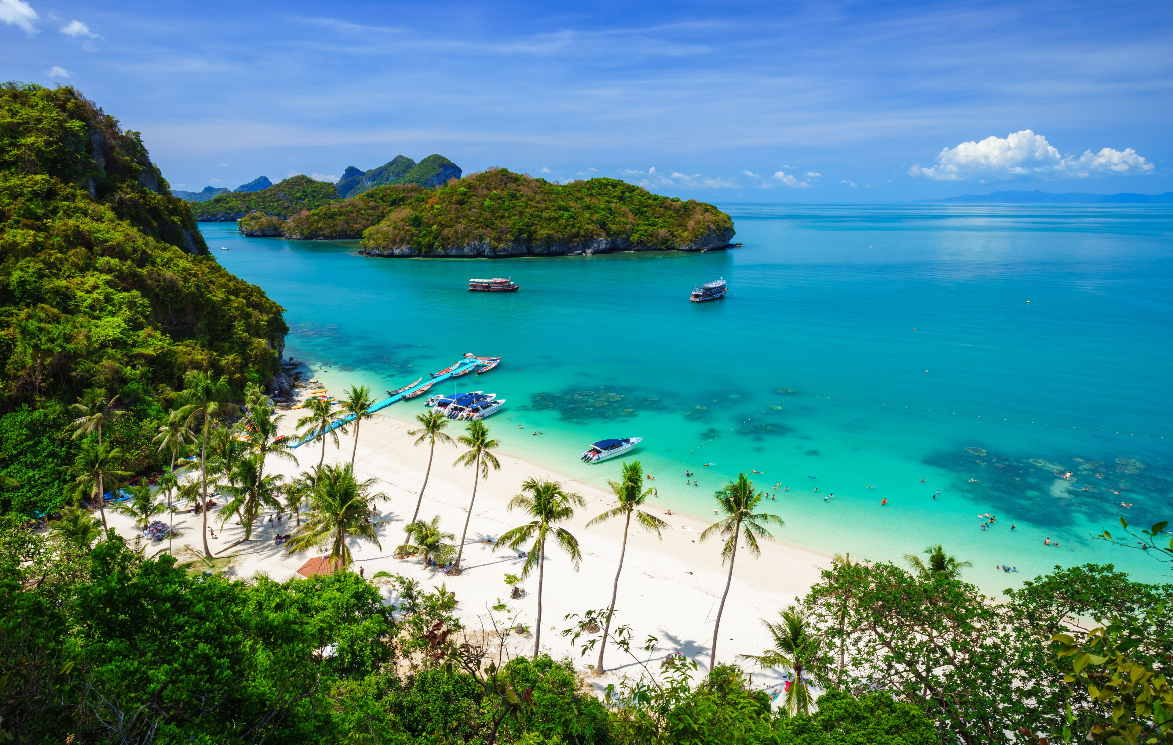 A tropical beach with clear turquoise waters, palm trees, and boats.
