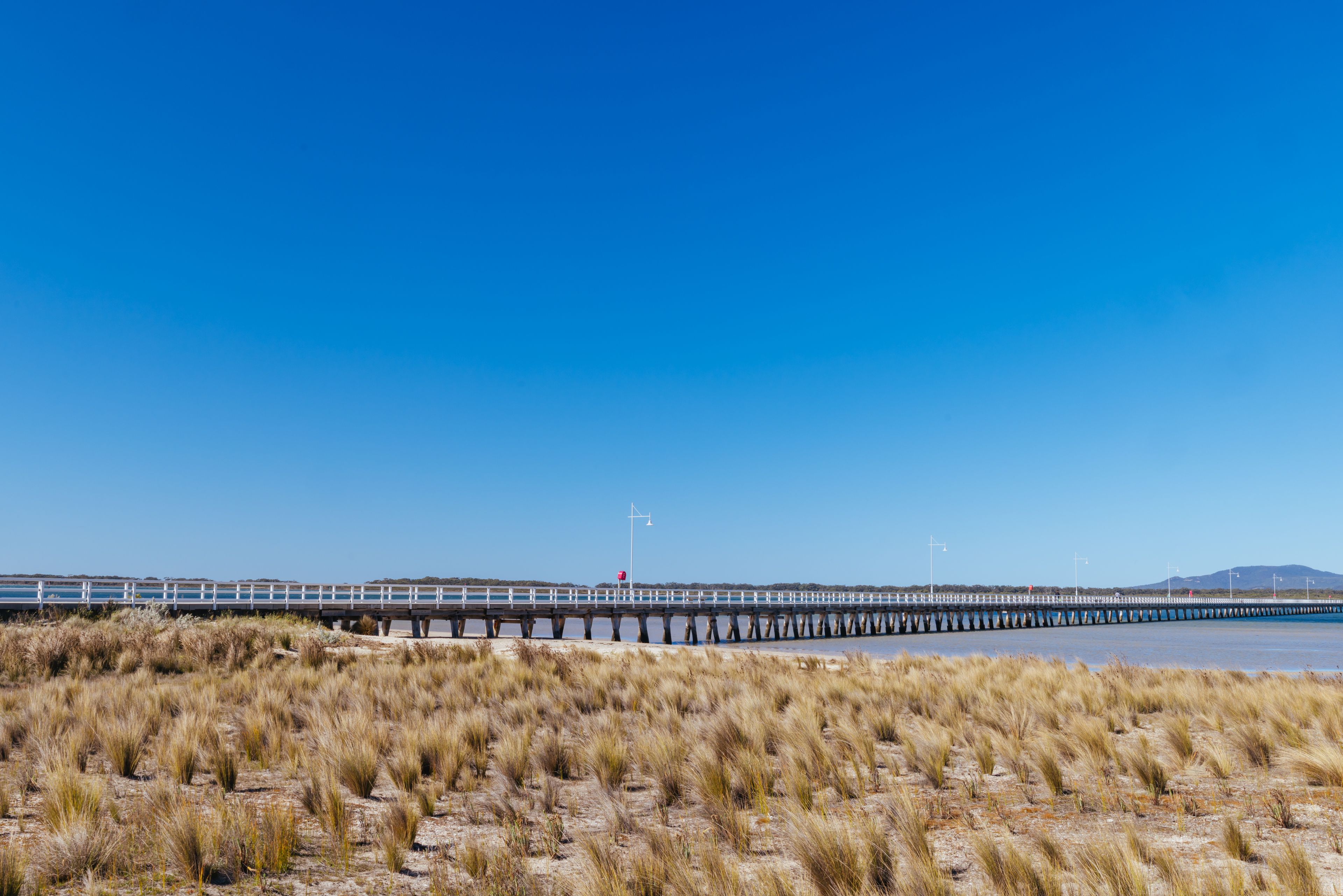 A coastal landscape with a long pier extending into the water, surrounded by dry grassland.