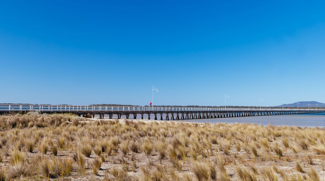 A coastal landscape with a long pier extending into the water, surrounded by dry grassland.