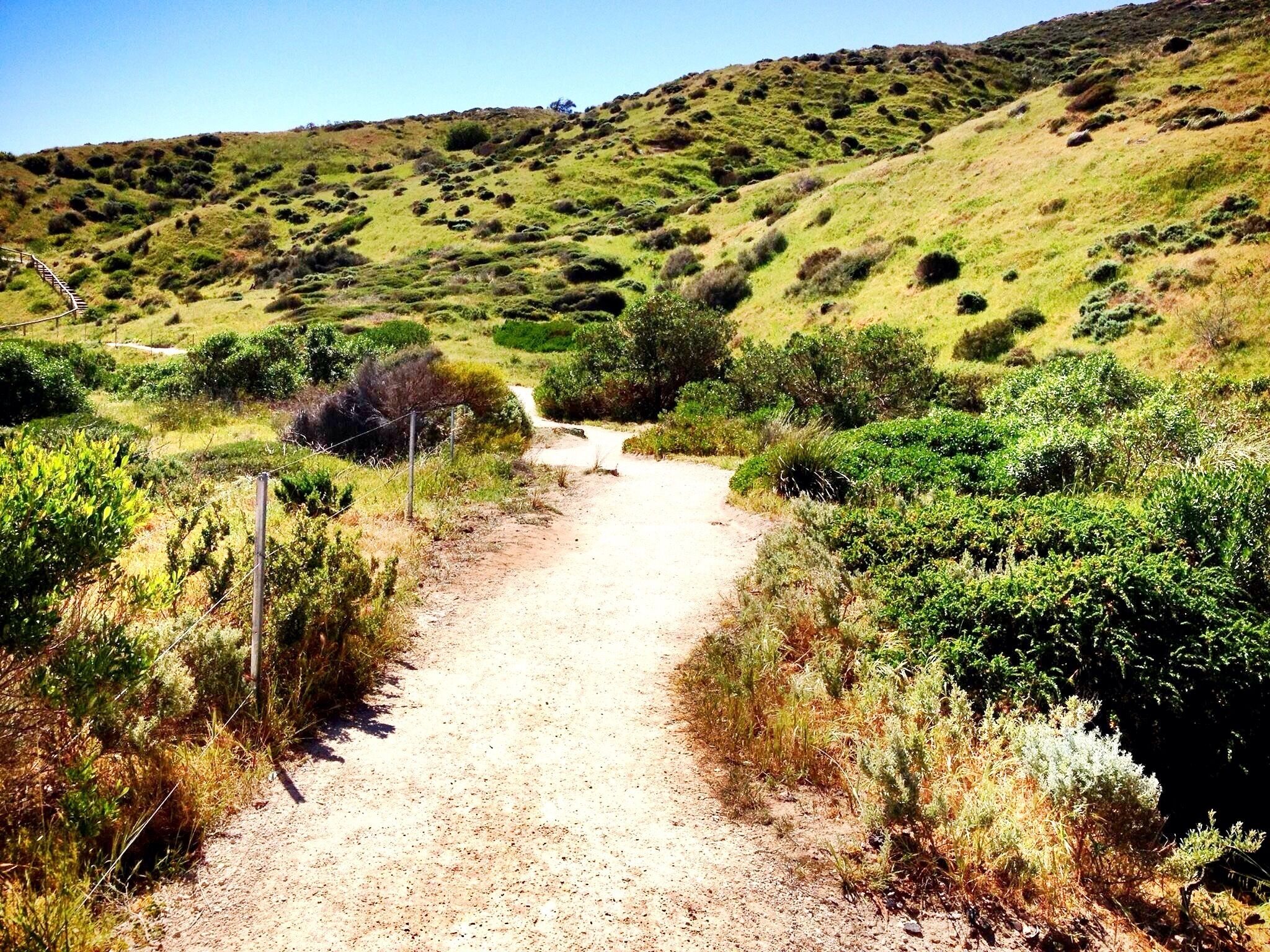 Beautiful walking path in Hallett Cove, South of Adelaide Australia right by the beach
#Beach #Walk #NationalPark #Hiking