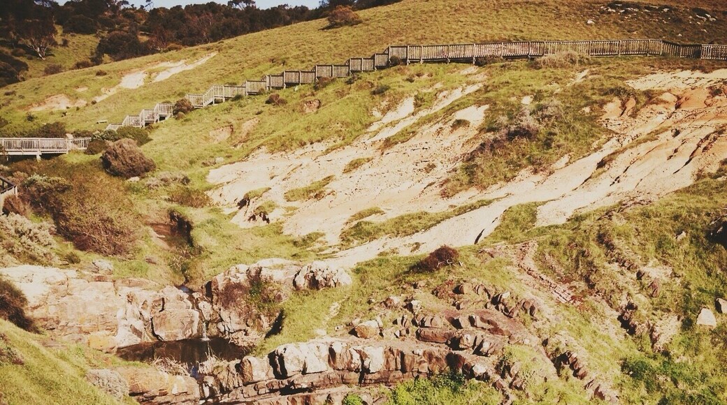 Hard to see but water is flowing through here leading to the ocean. The area is a conservation area due to its unique plants and rock formations that date back to the ice age. Beautiful views of the ocean here too!
#NationalPark