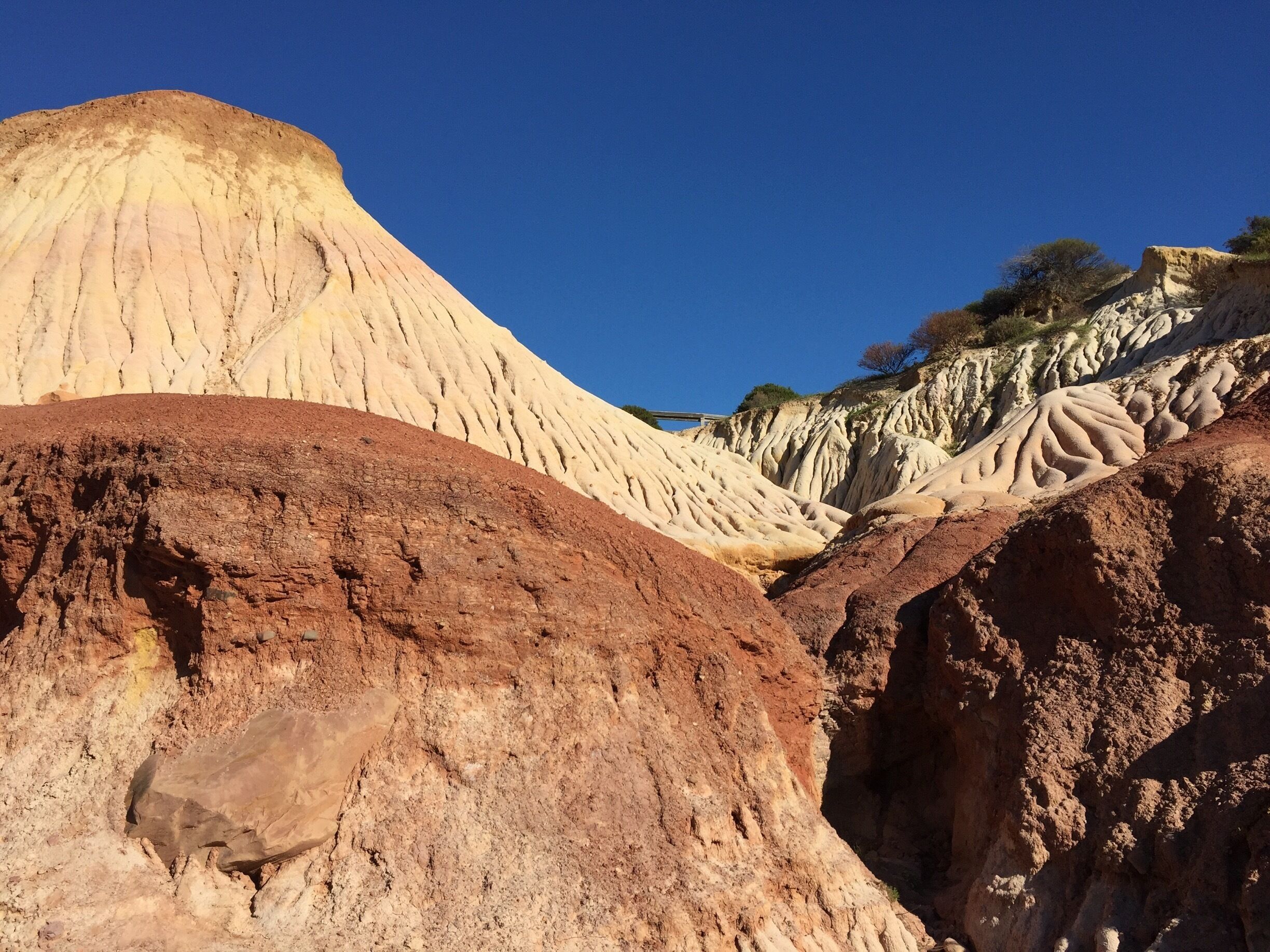 Colourful Boardwalk and cliff walk
Sunday walk perfection accessible for all