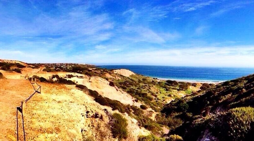 Path in the conservation park with great views
#Hiking