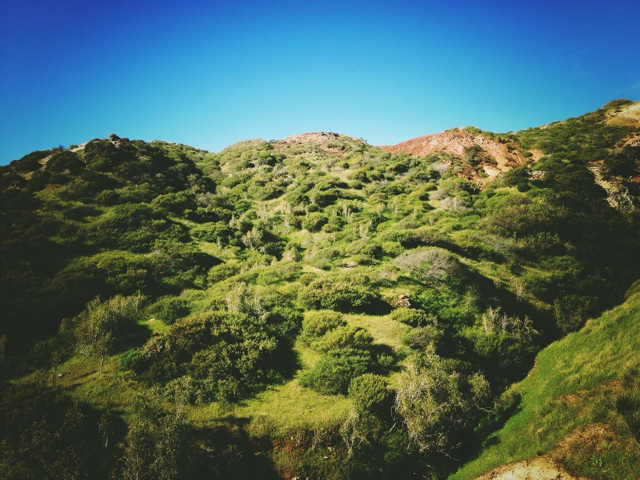 The Hallett Cove Conservation park is home to some unique plants that have grown here since prehistoric times. The area also has ancient rock formations and is located by the beach. 

#NationalPark