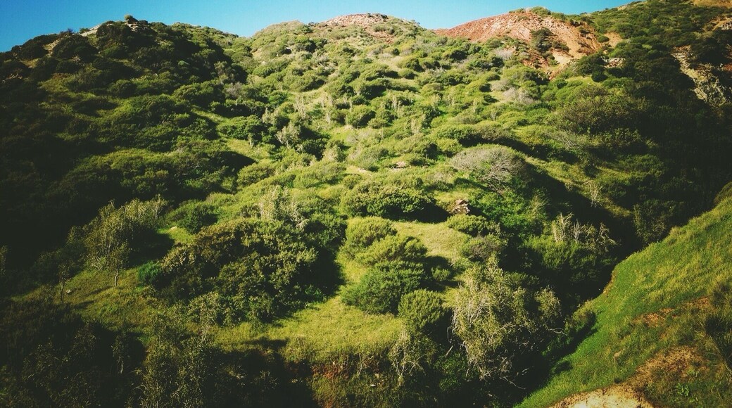The Hallett Cove Conservation park is home to some unique plants that have grown here since prehistoric times. The area also has ancient rock formations and is located by the beach.
#NationalPark