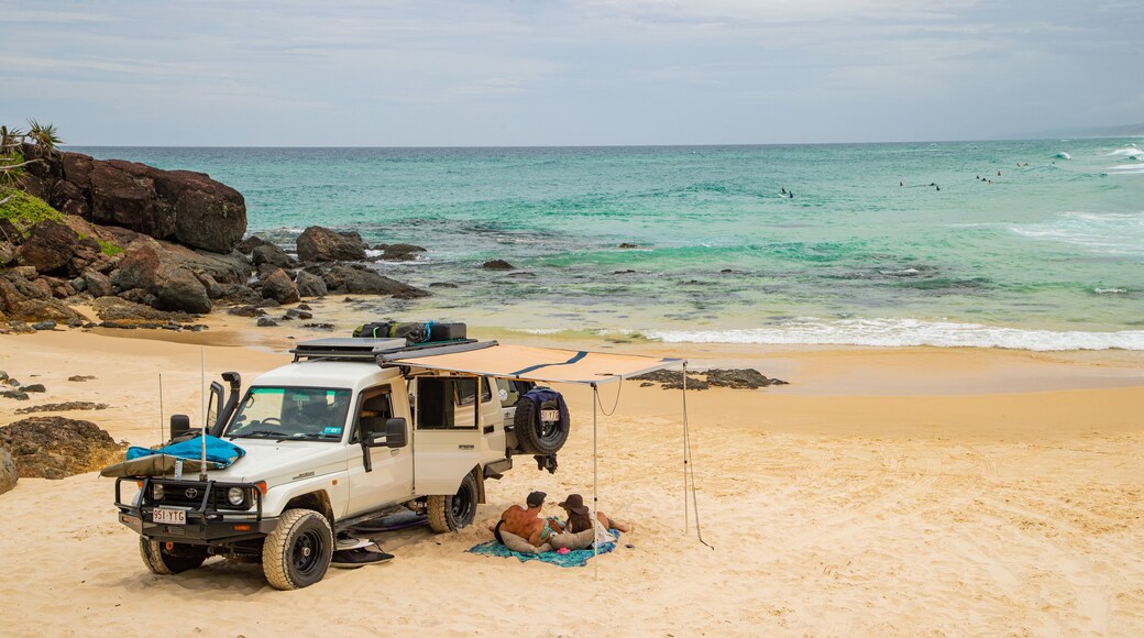 Double Island Point Conservation Park showing general coastal views, off road driving and a sandy beach