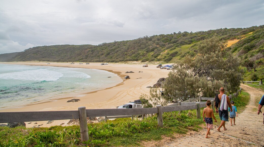 Double Island Point Conservation Park showing general coastal views and a beach as well as a family