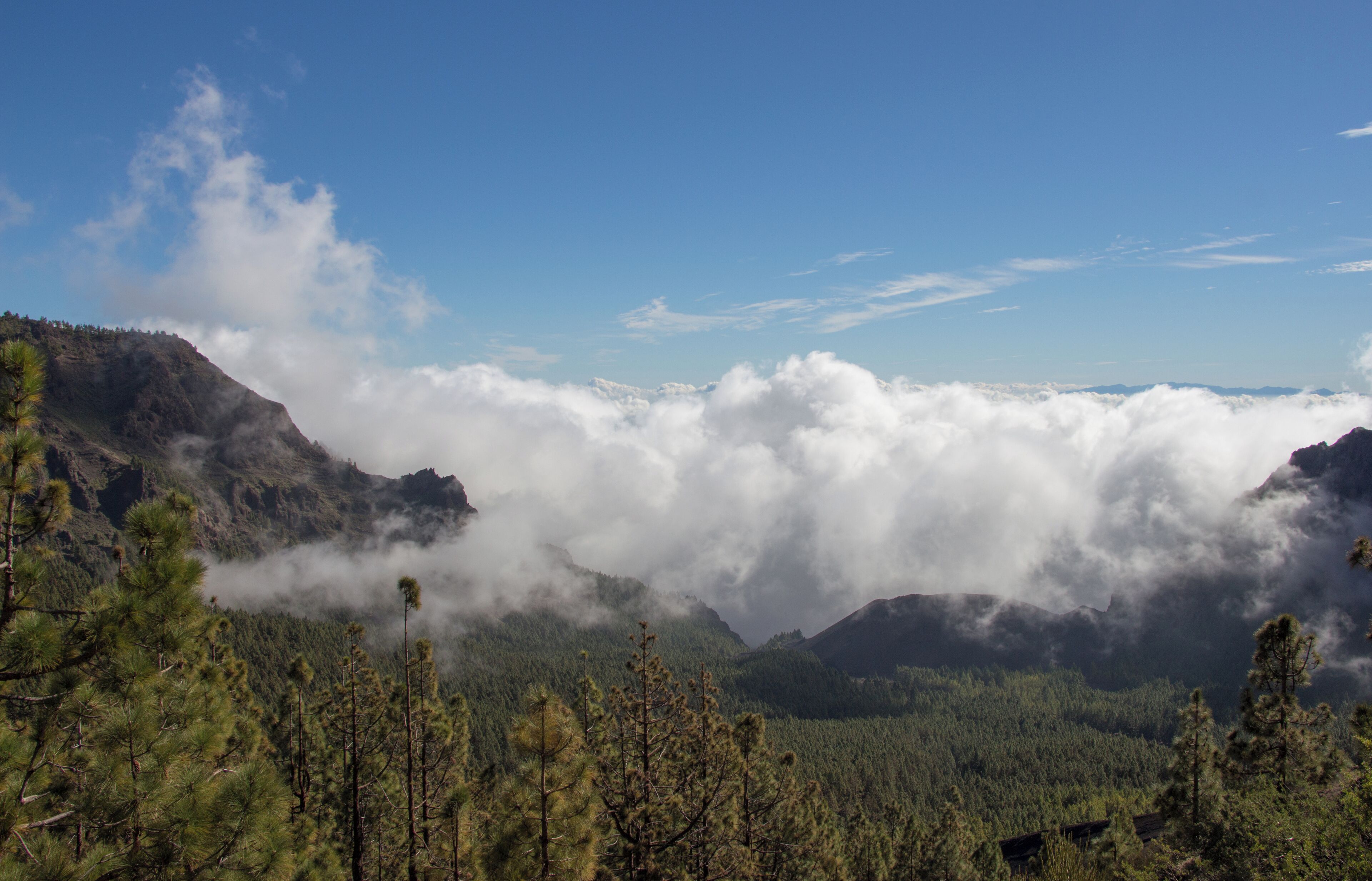 From Camino de Candaleria de la Orotava, Tenerife, Spain